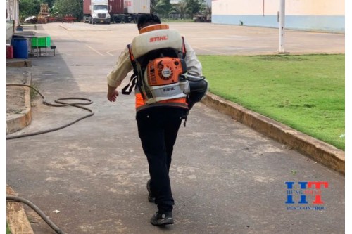 Dịch Vụ Phun Thuốc Diệt Muỗi Tại Hậu Nghĩa Long An