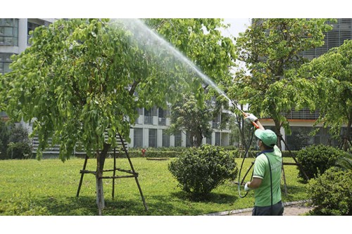 Dịch vụ phun thuốc trừ sâu tại TP. Hồ Chí Minh, Chuyên nghiệp