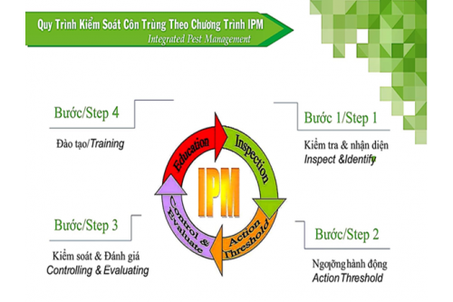 Quy Trình Diệt Và Kiểm Soát Côn Trùng Nhà Xưởng IPM 