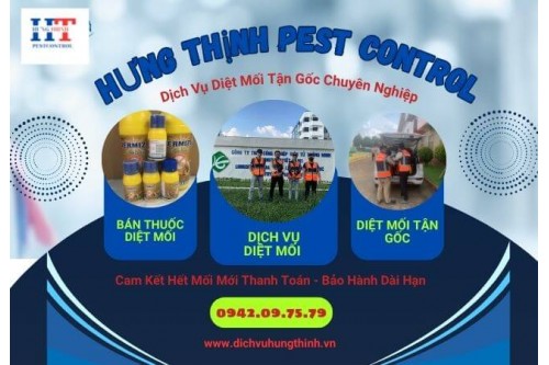 Dịch Vụ Phun Thuốc Diệt Muỗi Tại Quận Gò Vấp TP.Hồ Chí Minh