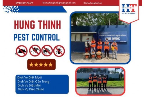 Dịch Vụ Diệt Côn Trùng Tại TP.HCM
