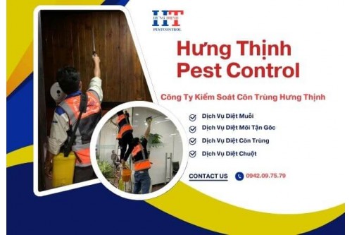 Dịch Vụ Phun Thuốc Diệt Muỗi Tại Quận Tân Phú TP.Hồ Chí Minh