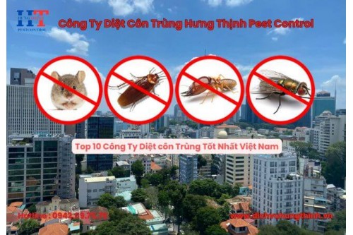  Dịch Vụ Phun Thuốc Diệt Muỗi Tại TP.HCM