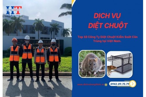 Dịch Vụ Phun Thuốc Diệt Muỗi Tại Huyện Bàu Bàng Bình Dương