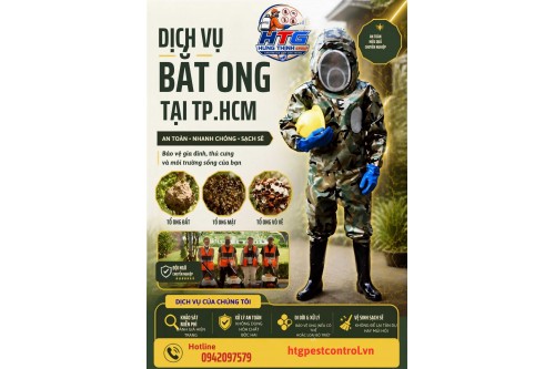 Dịch Vụ Bắt Ong Tại Quận 12 TP. Hồ Chí Minh