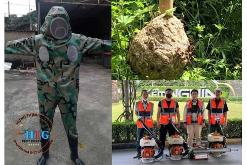 Dịch Vụ Bắt Ong Tại Bến Cát Bình Dương