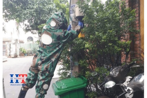 Dịch Vụ Bắt Ong Tại Long Thành Đồng Nai