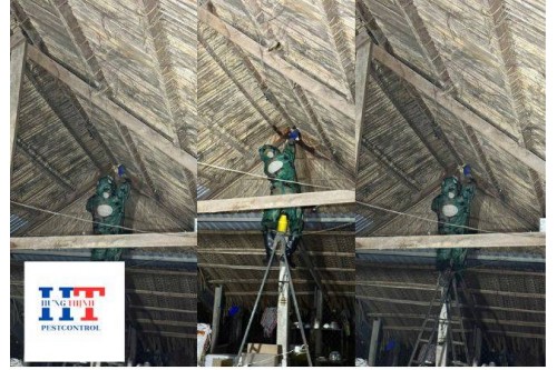 Dịch Vụ Bắt Ong Tại Quận 5 TP. Hồ Chí Minh