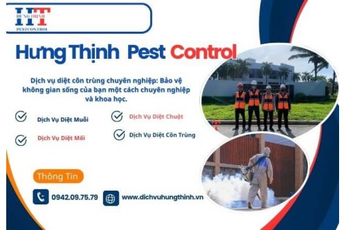 Dịch Vụ Diệt Chuột Tại Thủ Đức Giá Rẻ