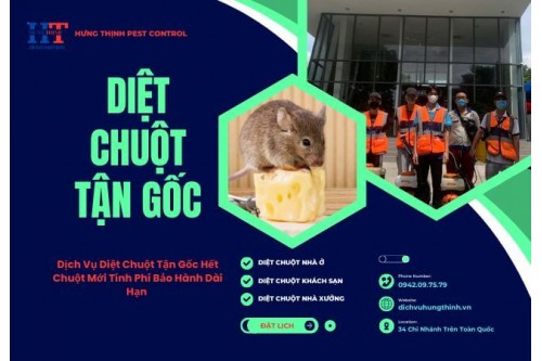 Dịch Vụ Diệt Chuột Tại Tân Uyên Giá Rẻ