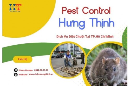 Công Ty Dịch Vụ Diệt Chuột Tại TP. Hồ Chí Minh