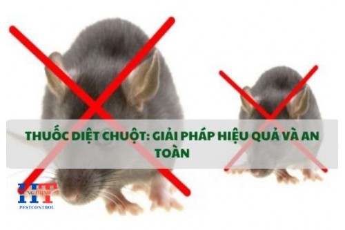 Dịch vụ diệt chuột tại Nhơn Trạch Đồng Nai, Kiểm soát chuột nhà xưởng