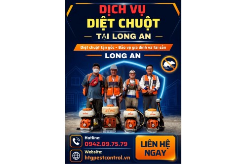 Dịch vụ diệt chuột tại Long An,Uy tín chuyên nghiệp giá rẻ