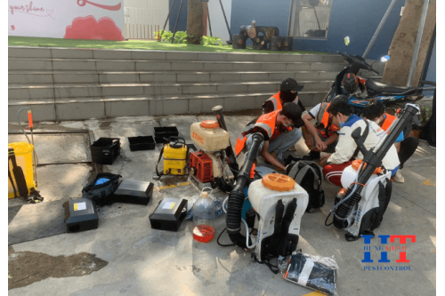 Dịch Vụ Diệt Chuột Tại Tân Bình TP. Hồ Chí Minh