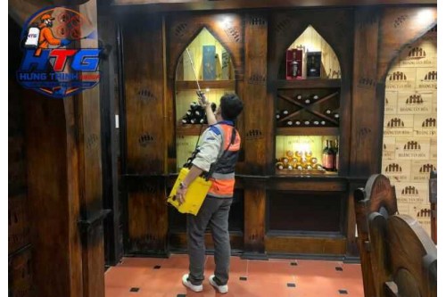 Dịch vụ diệt gián tại Gò Vấp, An toàn hiệu quả giá rẻ