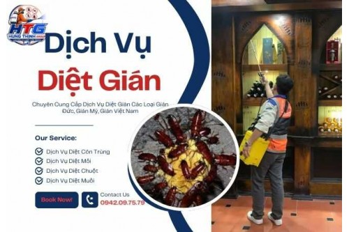 Dịch Vụ Diệt Gián Tại TP.Hồ Chí Minh