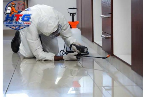Dịch vụ diệt gián tại Bình Thạnh TP.HCM, An toàn diệt tận gốc