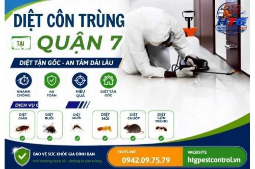 Dịch vụ diệt gián tại Quận 7 TP.HCM,An toàn hiệu quả
