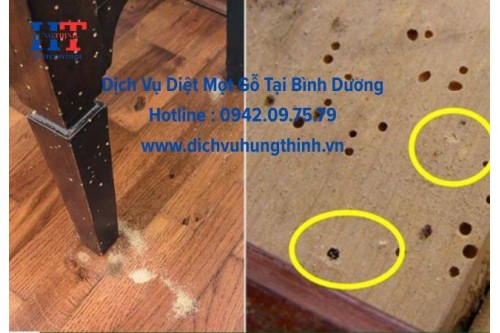 Dịch Vụ Diệt Mọt Gổ Tại Bình Dương