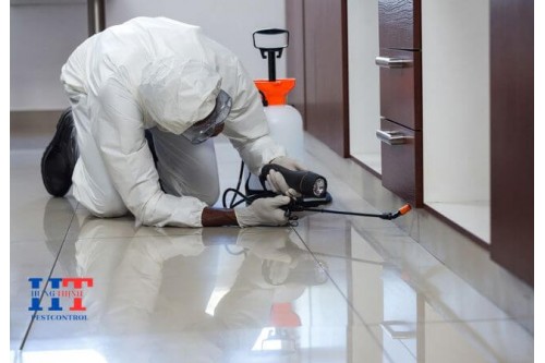 Dịch Vụ Diệt Côn Trùng Tại Đất Đỏ Bà Rịa Vũng Tàu