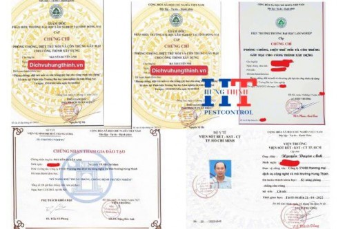 Công Ty Diệt Mối Tại Đồng Nai