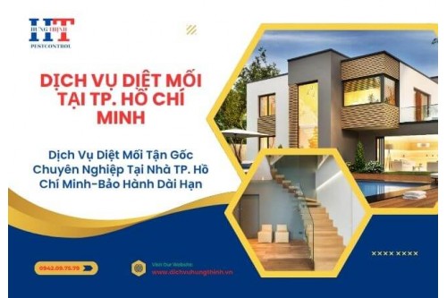 Quy Trình Diệt Mối Tận Gốc - Hưng Thịnh Pest Control