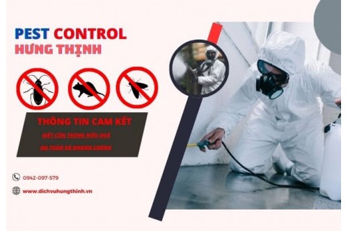 Dịch Vụ Diệt Chuột Tại Bình Thạnh TP. Hồ Chí Minh