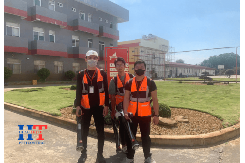 Dịch Vụ Phun Thuốc Diệt Muỗi Nhà Xưởng  