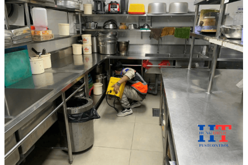 Kiểm Soát Côn Trùng Định Kỳ Hệ Thống Nhà Hàng Chay Giác Ngộ