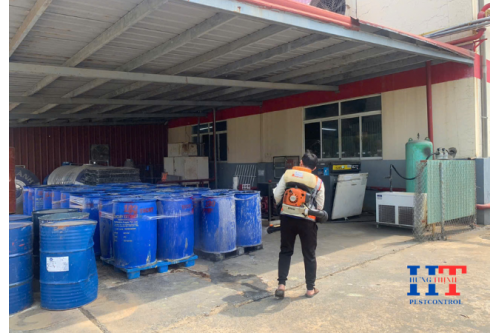 Dịch Vụ Diệt Côn Trùng Tại Tiền Giang Giá Rẻ