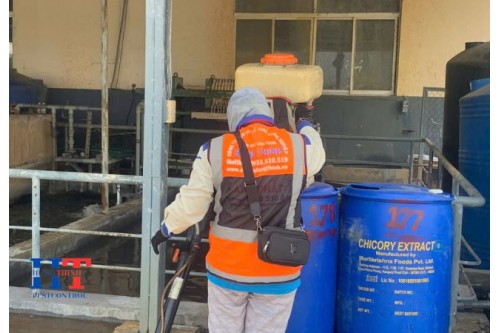 Dịch Vụ Phun Thuốc Diệt Muỗi Tại Trảng Bom Đồng Nai