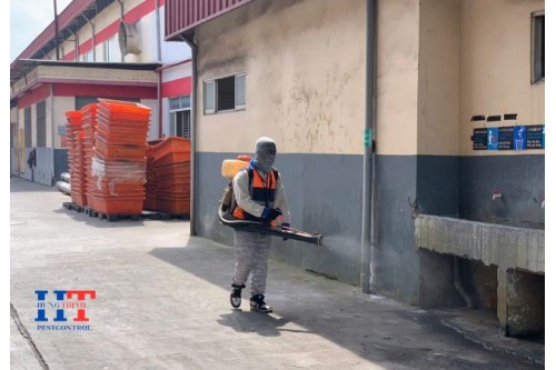 Công Ty Diệt Côn Trùng Tại Đức Hoà Long An