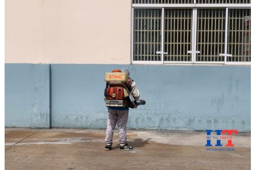 Dịch Vụ Diệt Côn Trùng Giá Rẻ Tại Vĩnh Long