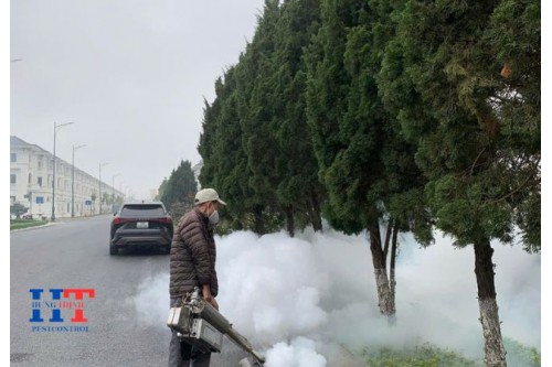 Dịch Vụ Diệt Côn Trùng Tại Bến Tre Giá Rẻ