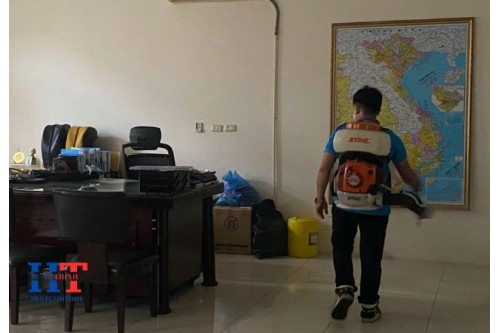 Dịch Vụ Phun Thuốc Diệt Muỗi Tại Bến Cầu Tây Ninh