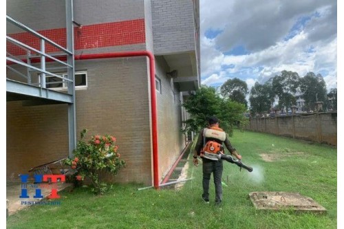 Dịch Vụ Phun Thuốc Diệt Muỗi Tại Thủ Đức Giá Rẻ