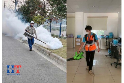 Dịch Vụ Diệt Côn Trùng Tại Quận 9 TP.HCM Giá Rẻ