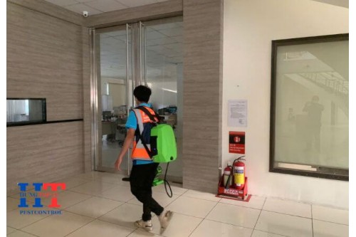 Dịch Vụ Diệt Côn Trùng Tại Quận 6 Giá Rẻ