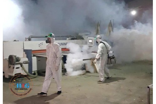 Dịch Vụ Diệt Côn Trùng Tại Thủ Dầu Một Bình Dương