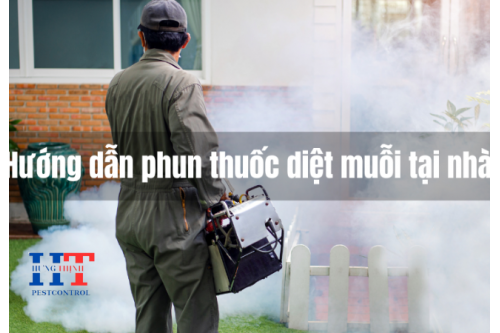 Mẹo Vặt Diệt Muỗi Tại Nhà Không Cần Phun Thuốc