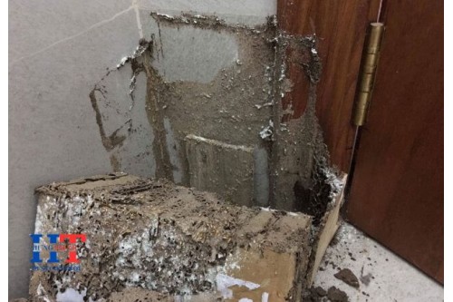 Dịch Vụ Diệt Mối tại Phường Trung Mỹ Tây TP. Hồ Chí Minh