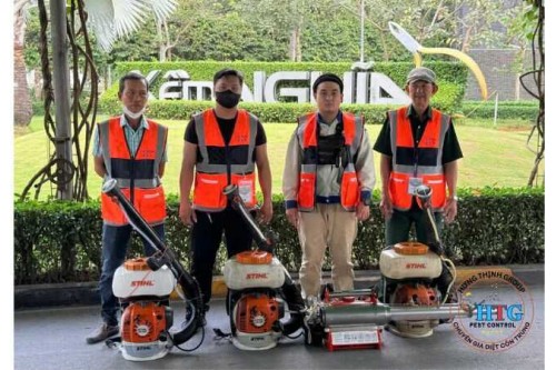 Dịch Vụ Diệt Mối Tại Phường An Khánh TP. Hồ Chí Minh