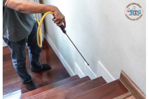 Dịch Vụ Diệt Mối Tại Phường Bình Dương TP. Hồ Chí Minh