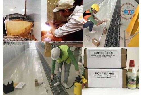 Dịch Vụ Diệt Mối Tại Nhà Bè TP. Hồ chí Minh Giá Rẻ