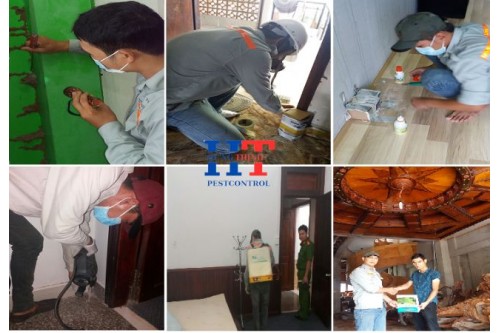 Dịch Vụ Diệt Mối Tận Gốc Tại Bến Cát Giá Rẻ