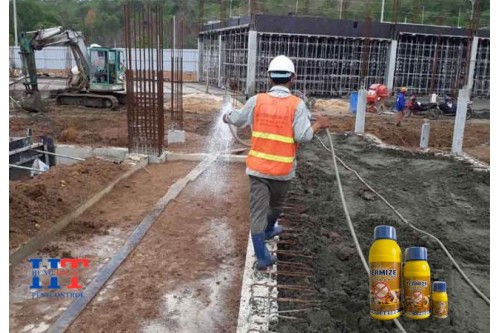 Dịch Vụ Diệt Mối Tận Gốc Tại Tân Uyên