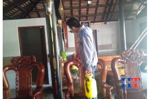 Dịch Vụ Diệt Mối Tận Gốc Tại Thủ Dầu Một Giá Rẻ