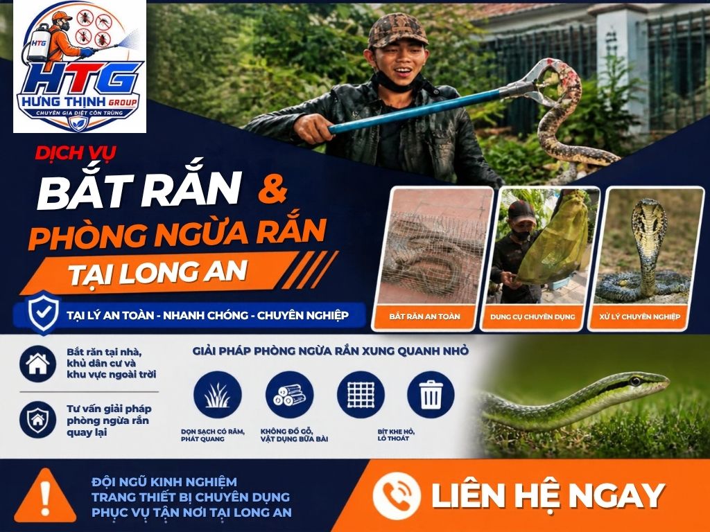 Dịch vụ bắt rắn tại Long An,Chuyên nghiệp an toàn giá rẻ