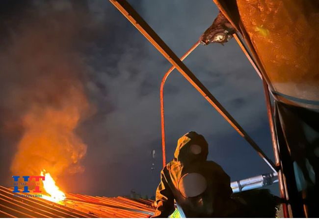 Dịch vụ Bắt Ong Tại Thủ Đức TP.Hồ Chí Minh