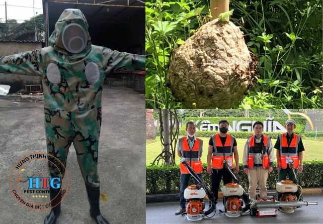 Dịch Vụ Bắt Ong Tại Bến Cát Bình Dương
